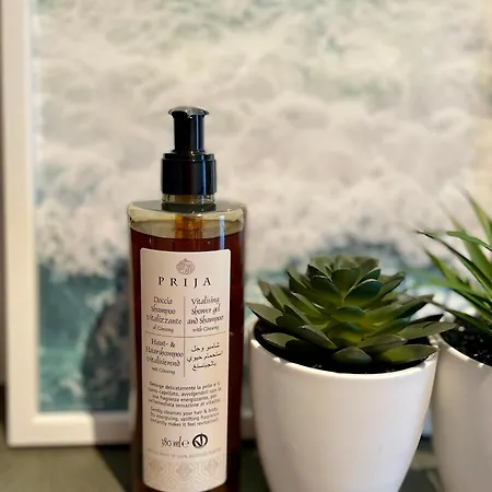 公寓 Oase Am L 2 Sz L Familien Und Hundefreundlich L Sauna I E-ladesaeule *