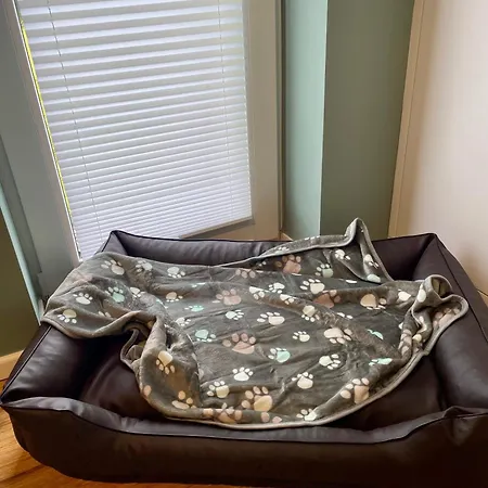 Oase Am L 2 Sz L Familien Und Hundefreundlich L Sauna I E-ladesaeule Apartmán *