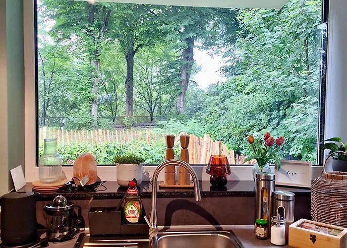 Oase Am L 2 Sz L Familien Und Hundefreundlich L Sauna I E-ladesaeule Möhnesee