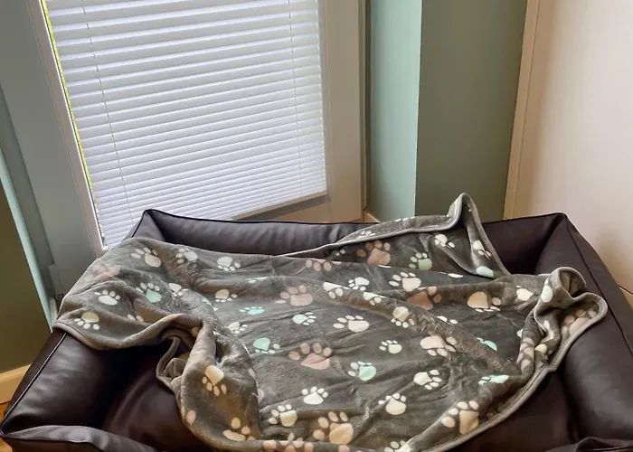 Oase Am L 2 Sz L Familien Und Hundefreundlich L Sauna I E-ladesaeule Lejlighed *